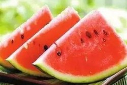 泰兴结婚吃瓜,吃瓜群众围观揭秘！