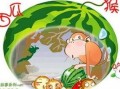 学猴吃瓜,学猴吃瓜的欢乐时光
