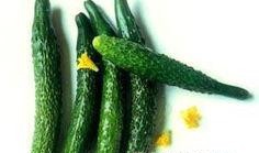 生瓜要怎么吃,探索新鲜口感与营养的完美结合