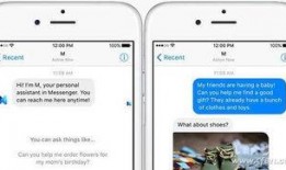 吃瓜梦工厂软件,带你领略虚拟娱乐新体验