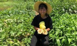 印度农村姑娘吃瓜