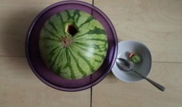 国外外网吃瓜,揭秘国外“吃瓜”文化现象