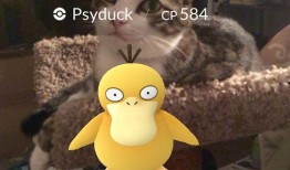 兄弟吃瓜日常,笑谈人间百态