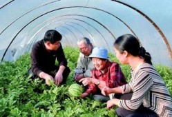 农村在田里吃瓜,农村田野里的悠闲时光