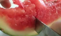 吃瓜塑料袋,揭秘塑料袋背后的环保谜题