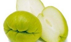 扶手瓜怎么吃止咳,天然养生佳品揭秘