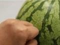 吃瓜群众挑瓜方法