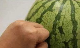 吃瓜群众挑瓜方法