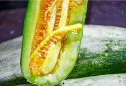 怎么吃蜜瓜
