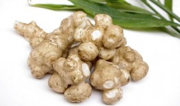 瓜州锁阳 饮片怎么吃,传统滋补养生新选择