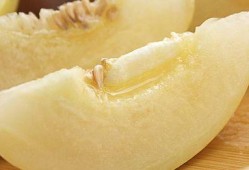 香瓜熟了过来摘瓜吃,丰收时节共享美味