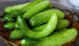 张舒晴吃瓜,揭秘娱乐圈幕后故事