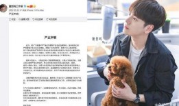 吃瓜魏哲鸣,揭秘娱乐圈背后的故事