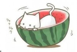 瓜吃球球,一场别开生面的互动游戏体验