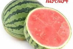 糖尿吃的密瓜,糖尿病患者如何享受美味密瓜