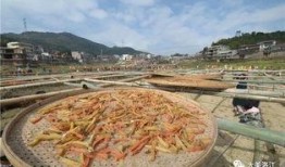 文化公园里吃瓜,一场味蕾与文化的盛宴