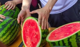 吃瓜组织,网络舆论场中的“瓜农”力量