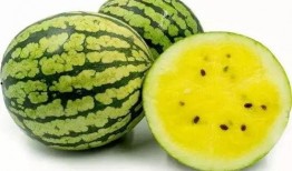 如何吃美国的瓜,解锁地道美式饮食习惯