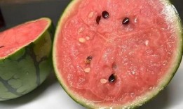 情侣之间吃红瓜,情侣共享的浪漫滋味