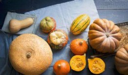 跟小雪吃瓜,揭秘娱乐圈那些不为人知的幕后故事