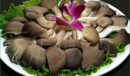 骨折可以吃瓜不,合理饮食与美味瓜果的完美结合