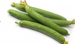 瓜可以做成什么吃,解锁瓜类美食的无限可能