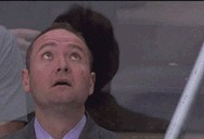 雀子吃瓜gif,萌态十足引网友热议