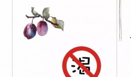 形容吃瓜的瓜楂的成语,成语中的吃瓜智慧