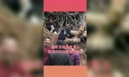 吃瓜星球 风闻,风闻背后的真相与奇闻异事