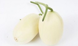 早上吃小白瓜,唤醒健康生活新篇章