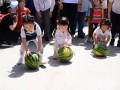 西瓜节吃瓜活动,西瓜节吃瓜盛宴，尽享清凉一夏”