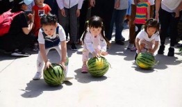 西瓜节吃瓜活动,西瓜节吃瓜盛宴，尽享清凉一夏”