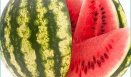 每日吃瓜今日吃瓜,紧跟热点，畅享瓜界盛宴