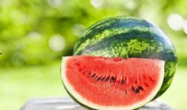 铜仁学院吃瓜,揭秘校园风云录