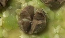 吃煮水瓜视频播放