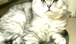 猫哥带你吃瓜,猫哥带你揭秘娱乐圈那些鲜为人知的瓜