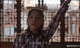 吃瓜乔是谁,网络红人的崛起与影响力