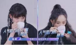 吃瓜流量当红小花,吃瓜流量背后的璀璨星途