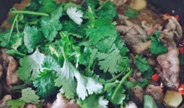 肥羊吃瓜,一场与甜蜜瓜果的邂逅