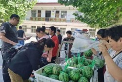 泗洪吃瓜群众事件视频,一场网络舆论的风暴与反思