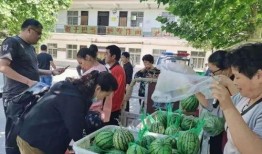 泗洪吃瓜群众事件视频,一场网络舆论的风暴与反思