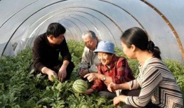 奶奶吃瓜的视频,甜蜜瞬间，温馨回忆