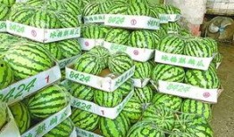 武汉吃瓜人狂喜