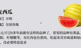 带你吃瓜教课书,揭秘娱乐圈背后的故事