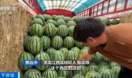 德强吃瓜,揭秘娱乐圈背后的那些事儿