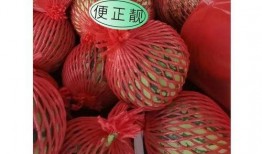 东莞吃瓜圈,揭秘网络热议背后的真实故事