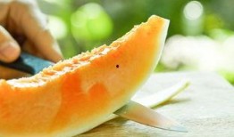 阿蜜瓜怎么给孩子做着吃