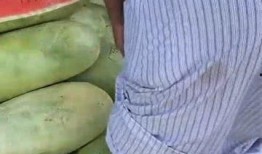 51吃瓜群众今日大瓜,揭秘娱乐圈最新热点事件