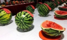 西瓜节吃瓜活动,西瓜节吃瓜盛宴，尽享清凉一夏”