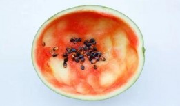 自制吃瓜,夏日清凉美食新体验